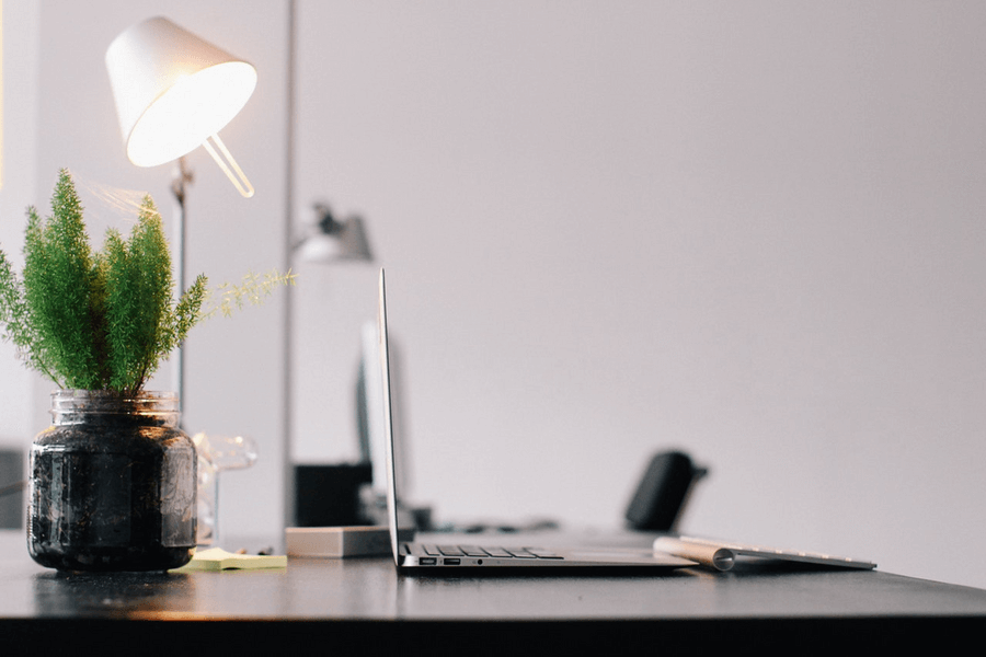 office desk with a plant